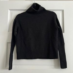Aritzia 100% Wool Sweater- sized S, but is more of an extra small.